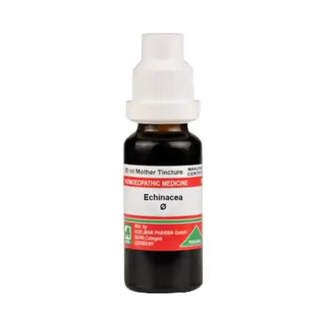 ADEL Echinacea Mother Tincture Q (1 Bottle of 20 ml Mother Tincture)