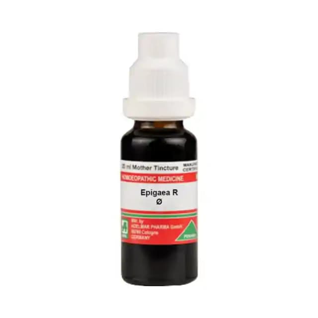 ADEL Epigaea R Mother Tincture Q (1 Bottle of 20 ml Mother Tincture)