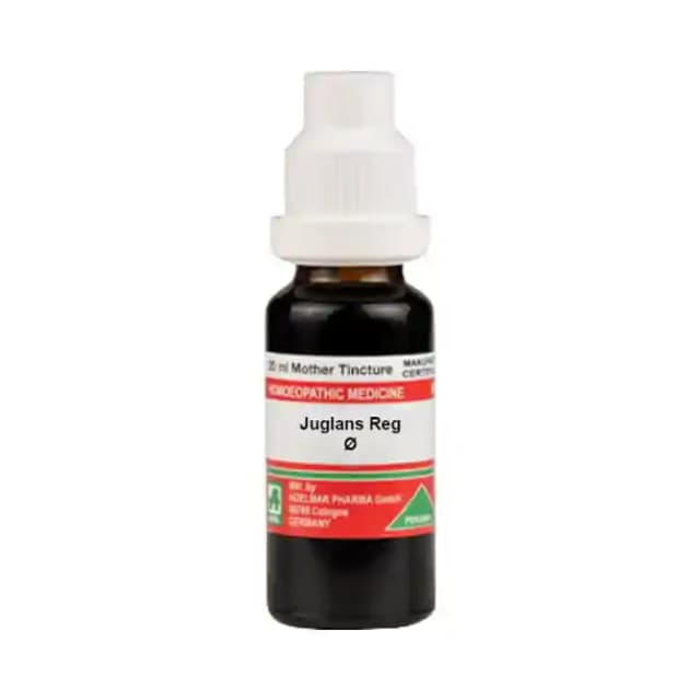 ADEL Juglans Reg Mother Tincture Q (1 Bottle of 20 ml Mother Tincture)