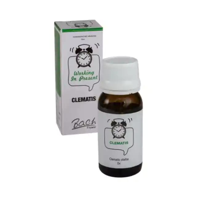 Alfa Omega Bach Flower Clematis 6X (1 Bottle of 30 ml Dilution)