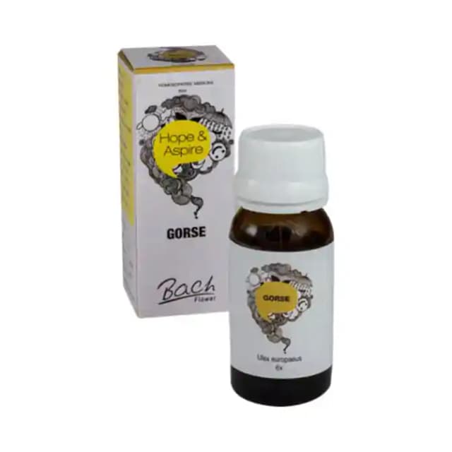 Alfa Omega Bach Flower Gorse 6X (1 Bottle of 30 ml Dilution)