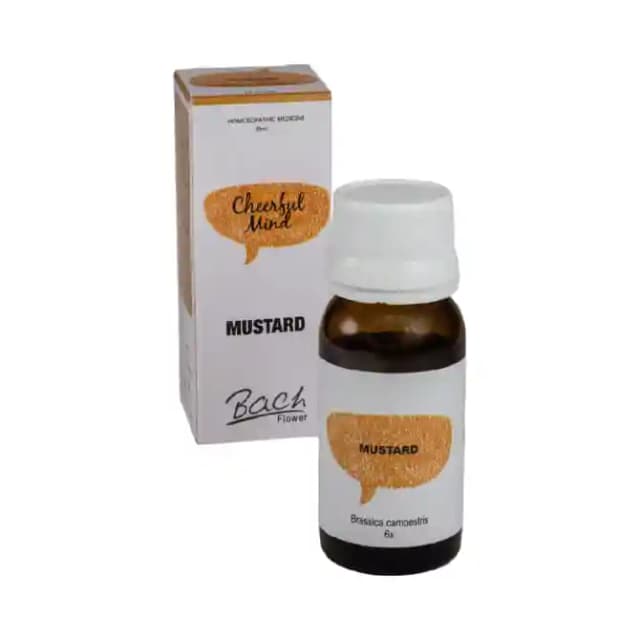 Alfa Omega Bach Flower Mustard 6X (1 Bottle of 30 ml Dilution)