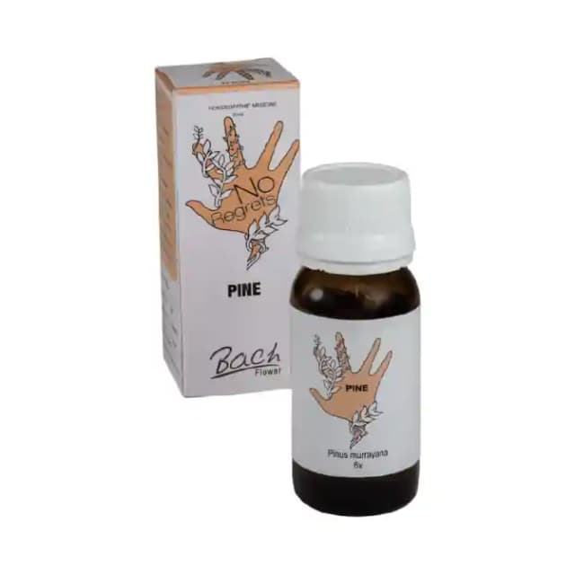 Alfa Omega Bach Flower Pine 6X (1 Bottle of 30 ml Dilution)