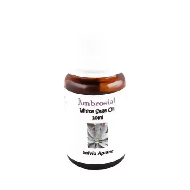 Ambrosial Essential Oil White Sage (1 Bottle of 10 ml Oil)