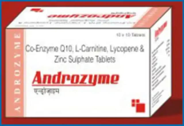 Androzyme (1 Strip Of 10 tablets)