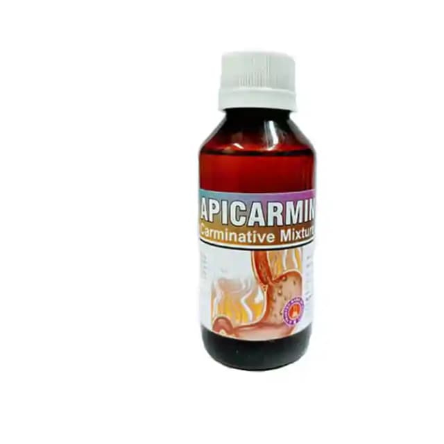 Apicarmin Syrup (1 Bottle of 400 ml Syrup)
