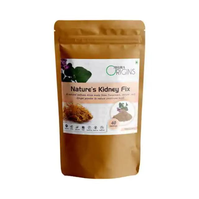 Ayura Origins Natures Kidney Fix (1 Packet Of 100 gm Powder)