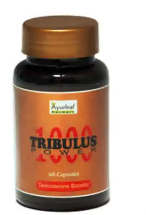 Ayurleaf Tribulus Power 1000 (1 Bottle of 60 capsules)