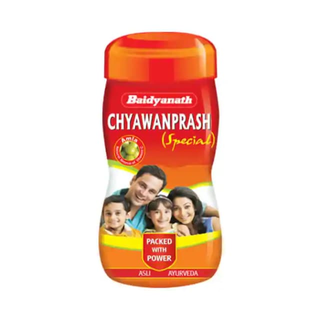 Baidyanath (Noida) Chyawanprash Special Large (1 Jar Of 1.2 kg Paste)