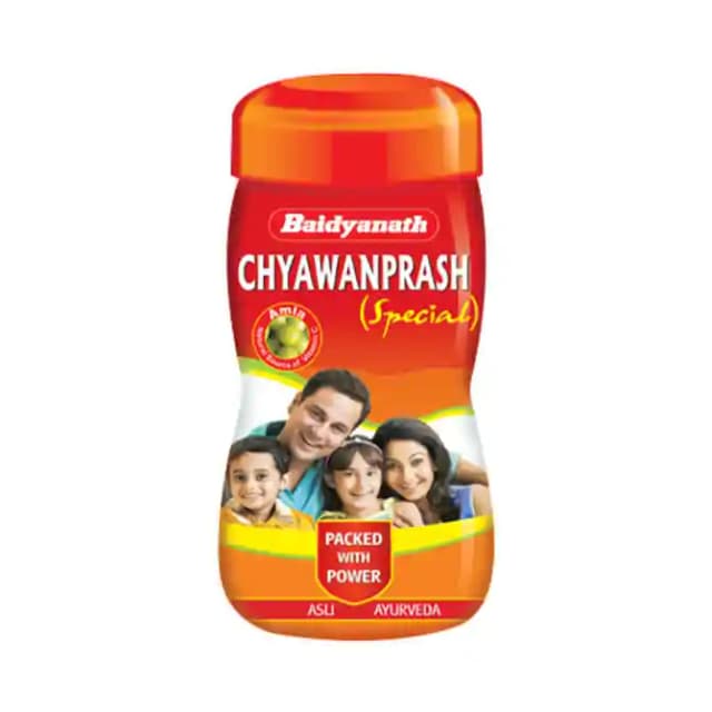 Baidyanath (Noida) Chyawanprash Special (1 Jar Of 575 gm Paste)