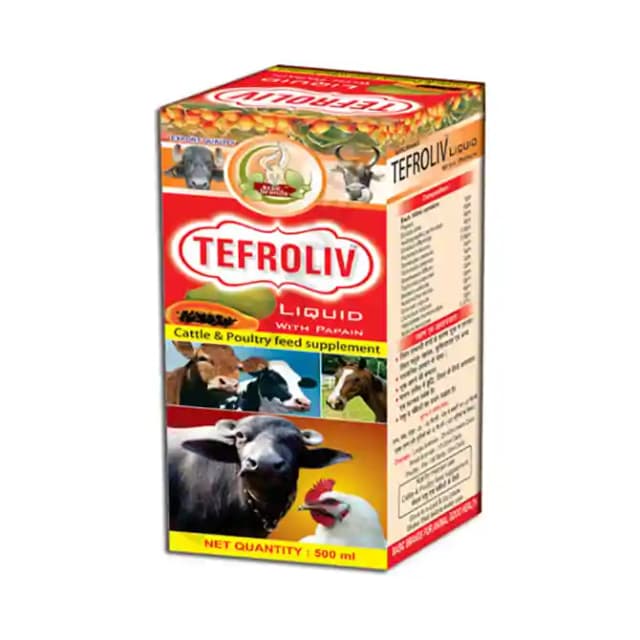 Basic Ayurveda Tefroliv Liquid (1 Bottle of 500 ml Liquid)