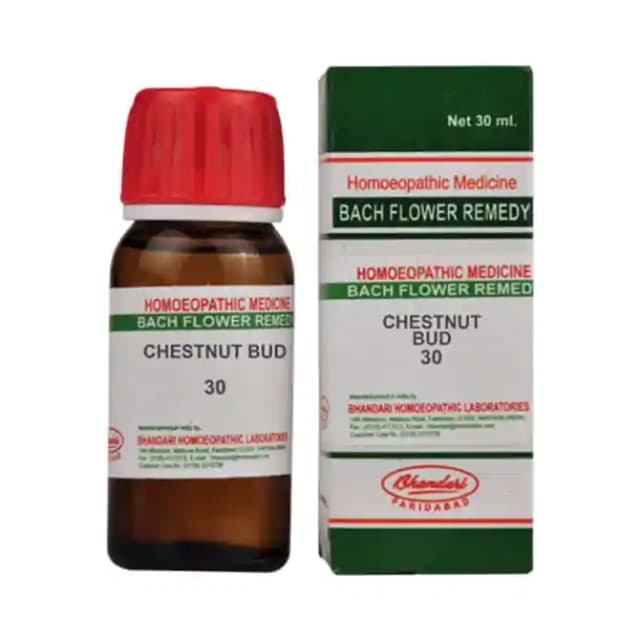 Bhandari Bach Flower Chestnut Bud 30 (1 Bottle of 30 ml Dilution)
