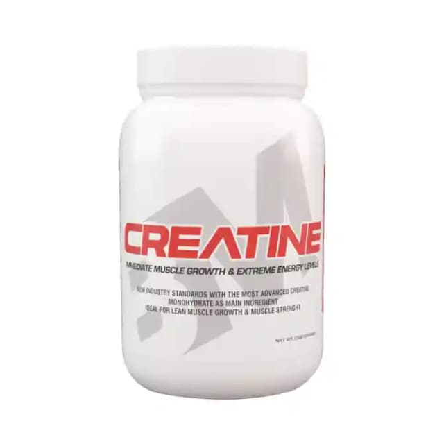 Big Muscles Creatine (1 Jar Of 300 gm Powder)