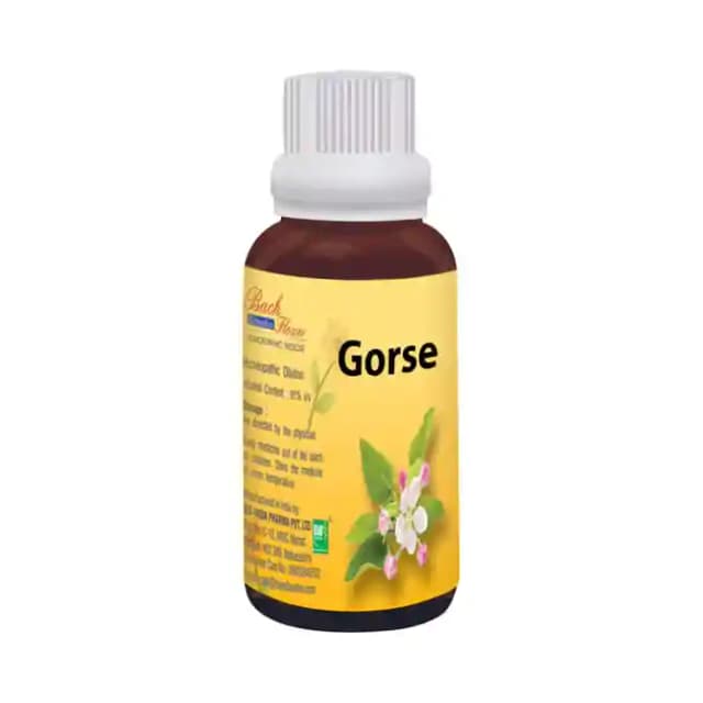Bio India Bach Flower Gorse (1 Bottle of 100 ml Dilution)