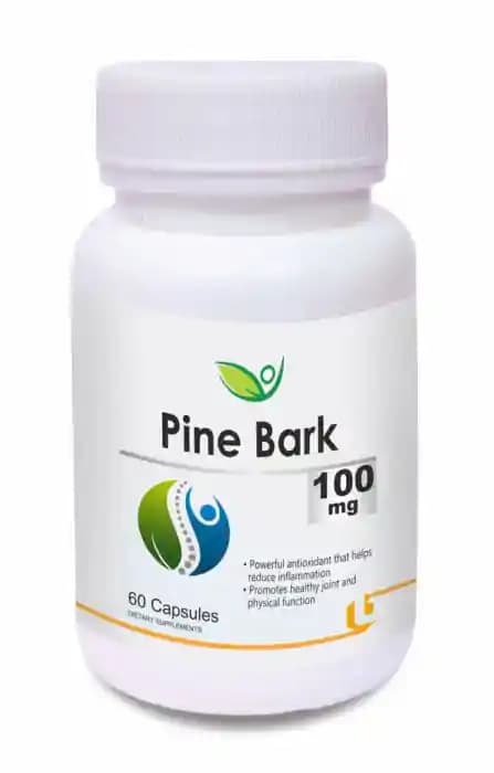 Biotrex Pine Bark 100mg (1 Bottle of 60 capsules)