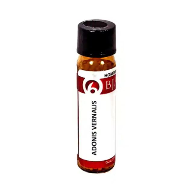 Bjain Adonis Vernalis Globules 6X (1 Bottle of 6 gm Globules)