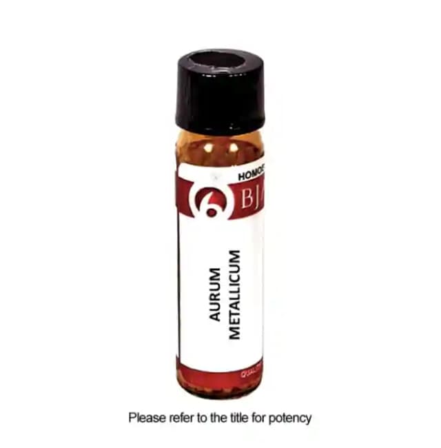 Bjain Aurum Metallicum Globules 6X (1 Bottle of 6 gm Globules)