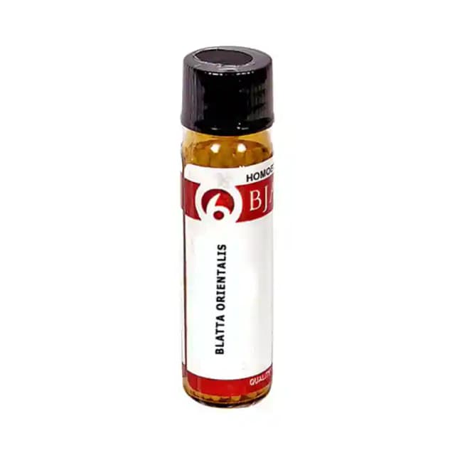 Bjain Blatta Orientalis Globules 6X (1 Bottle of 6 gm Globules)