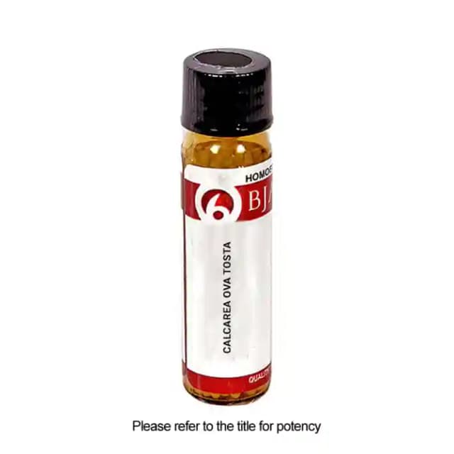 Bjain Calcarea Ova Tosta Globules 6X (1 Bottle of 6 gm Globules)