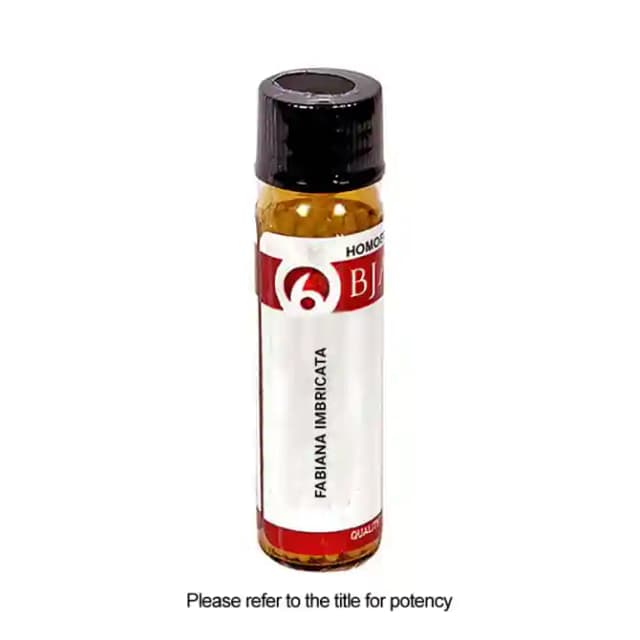 Bjain Fabiana Imbricata Globules 6X (1 Bottle of 6 gm Globules)