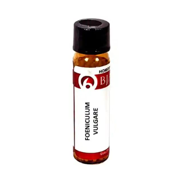 Bjain Foeniculum Vulgare Globules 3X (1 Bottle of 6 gm Globules)