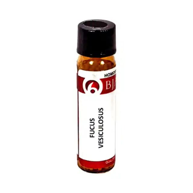 Bjain Fucus Vesiculosus Globules 6X (1 Bottle of 6 gm Globules)