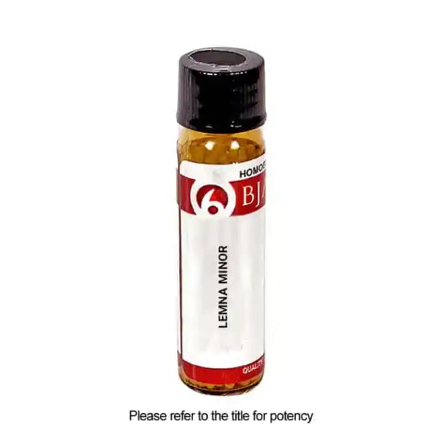 Bjain Lemna Minor Globules 3X (1 Bottle of 6 gm Globules)