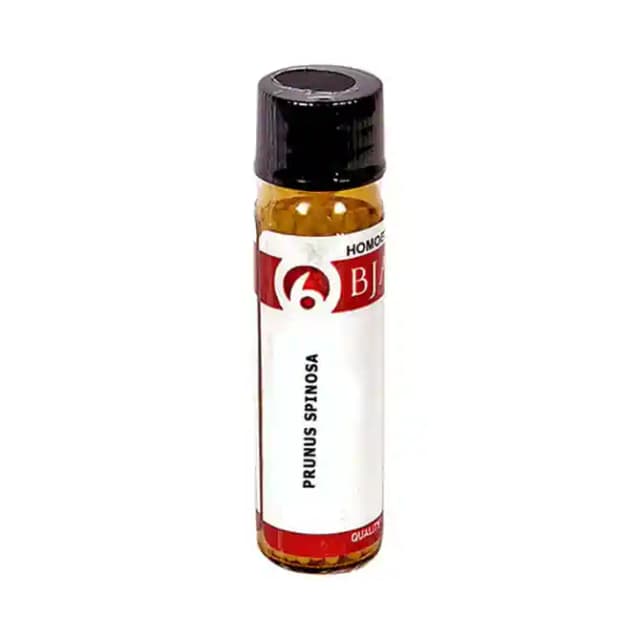 Bjain Prunus Spinosa Globules 3X (1 Bottle of 6 gm Globules)