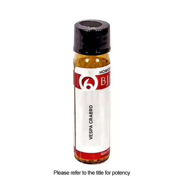 Bjain Vespa Crabro Globules 200 CH (1 Bottle of 6 gm Globules)