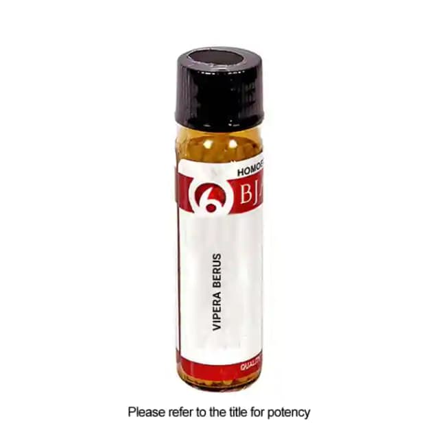Bjain Vipera Berus Globules 3X (1 Bottle of 6 gm Globules)