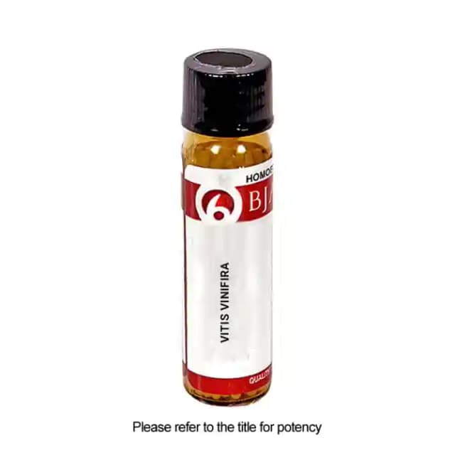 Bjain Vitis Vinifira Globules 200 CH (1 Bottle of 6 gm Globules)