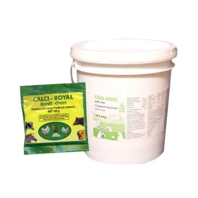 Calci Royal Powder (1 Box Of 100 gm Powder)