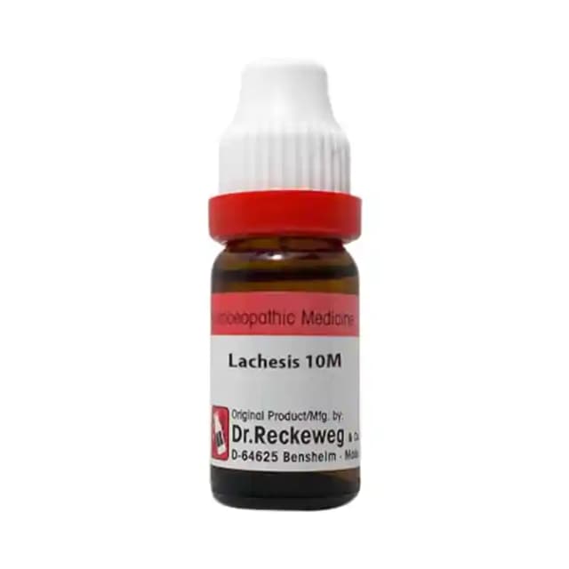 Dr. Reckeweg Lachesis Dilution 10M CH (1 Bottle of 11 ml Dilution)