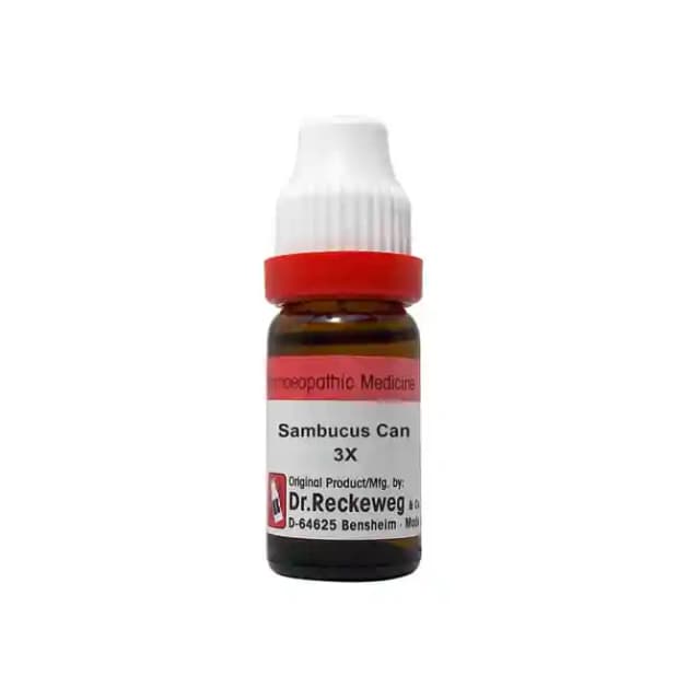 Dr. Reckeweg Sambucus Can Dilution 3X (1 Bottle of 11 ml Dilution)