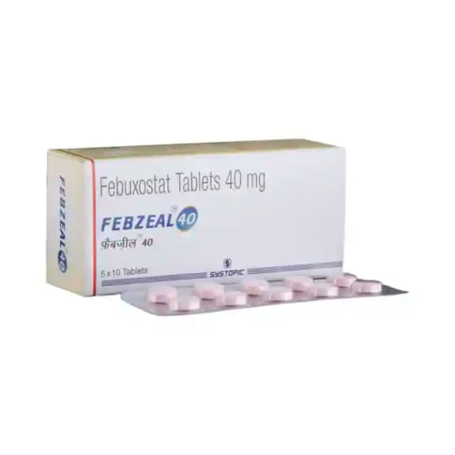 Febzeal 40 (10 tablets in 1 strip)