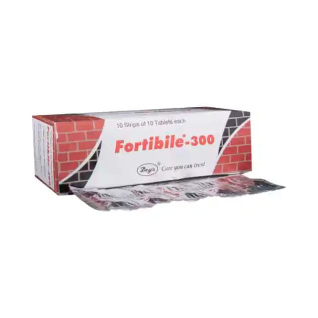 Fortibile 300 (10 tablets in 1 strip)