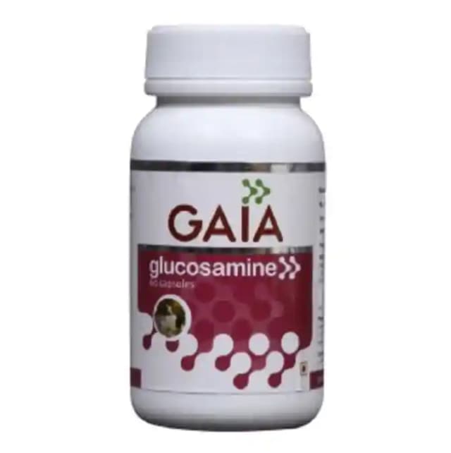 GAIA Glucosamine (1 Bottle of 60 capsules)