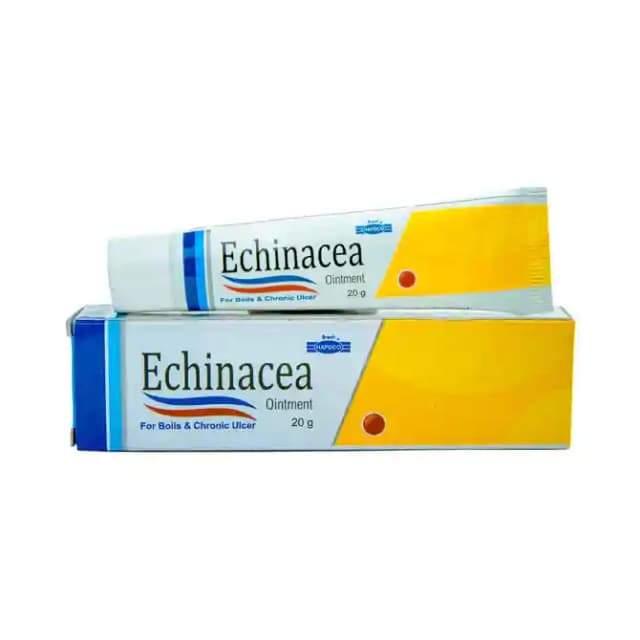Hapdco Echinacea Ointment (1 Tube Of 20 gm Ointment)