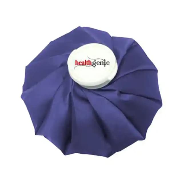 Healthgenie Ice Bag (1 Box Of 1 Bag)