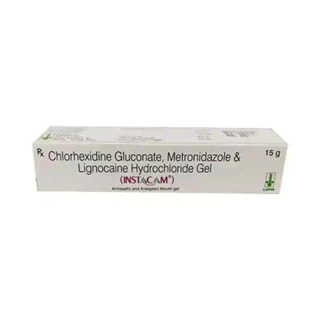 Instacam Mouth Gel (15 gm in 1 tube)