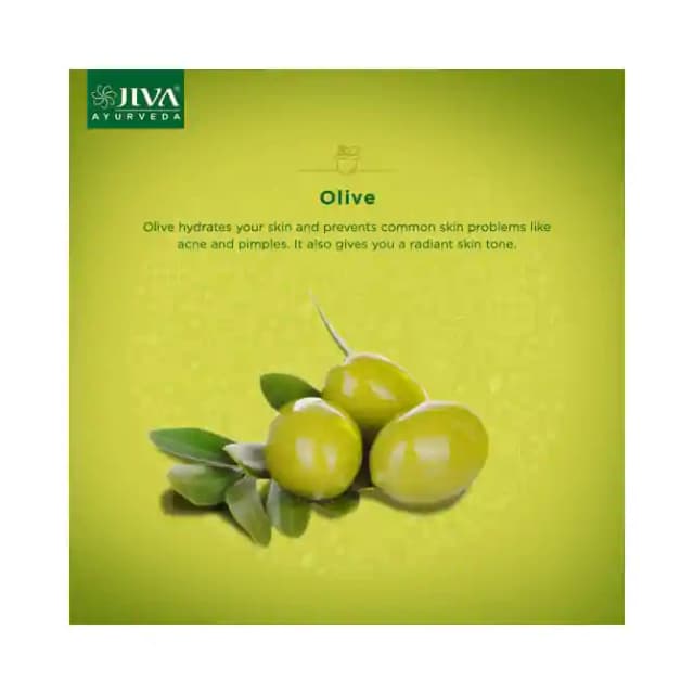 Jiva Olive Cream (1 tube of 50 gm Cream)