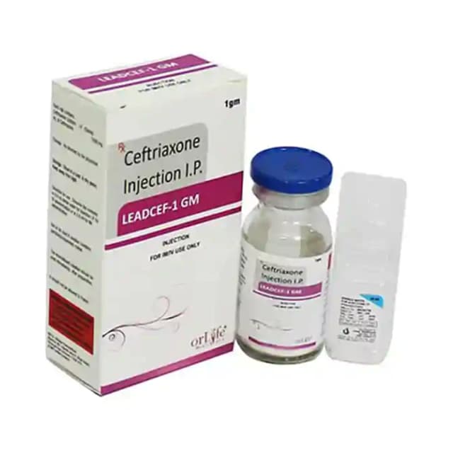 Leadcef 1gm Injection (1 Injection in 1 vial)
