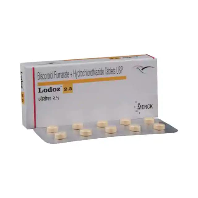 Lodoz 2.5 (10 tablets in 1 strip)