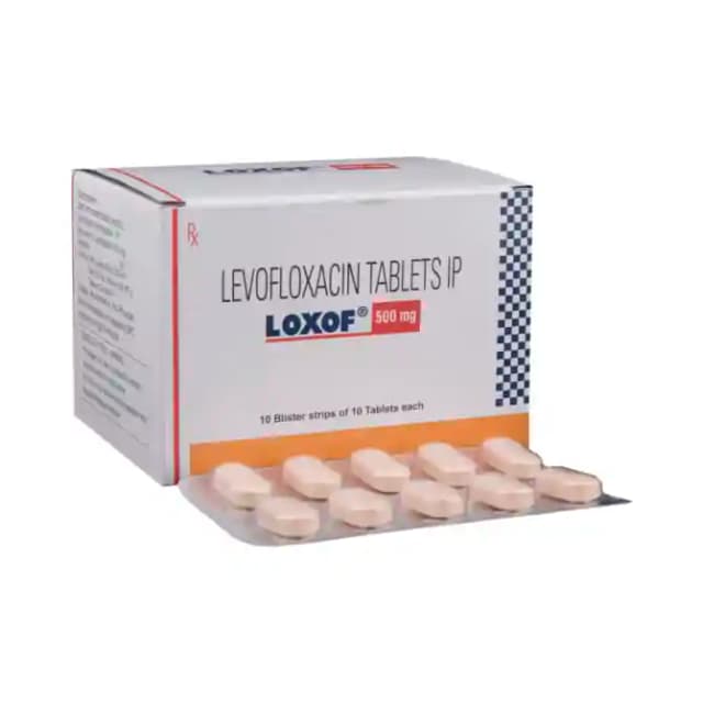 Loxof 500mg (10 tablets in 1 strip)