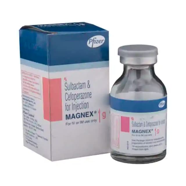 Magnex 1g Injection (1 Injection in 1 vial)