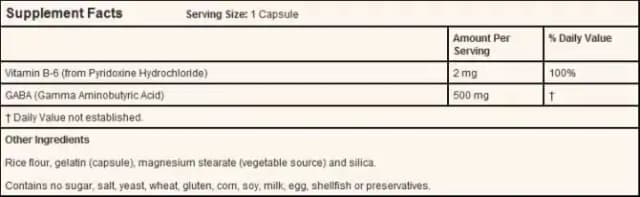 NOW Foods GABA 500mg Veg (1 Bottle of 100 capsules)