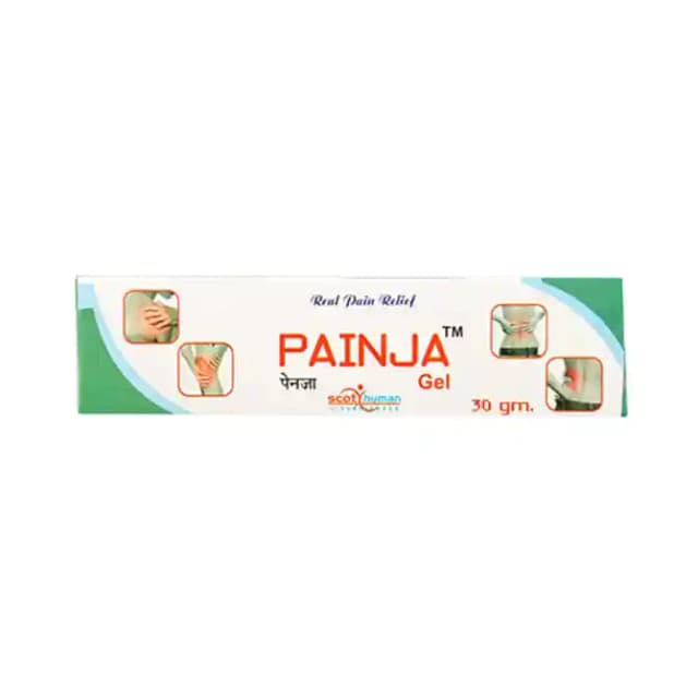 Painja Gel (1 Tube Of 30 gm Gel)