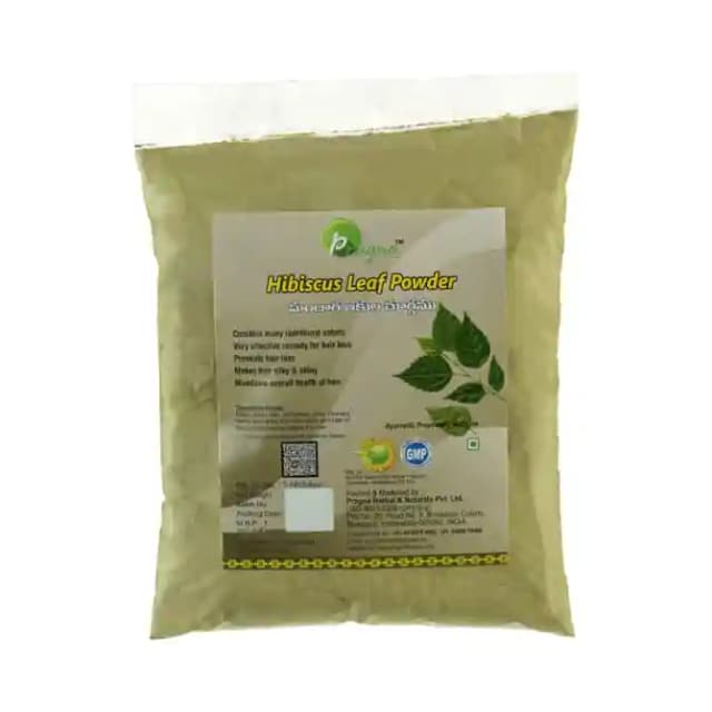 Pragna Hibiscus Leaf Powder Pack of 2 (1 Packet Of 90 gm Powder)