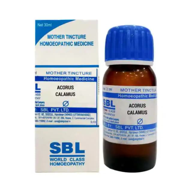 SBL Acorus Calamus Mother Tincture Q (1 Bottle of 30 ml Mother Tincture)