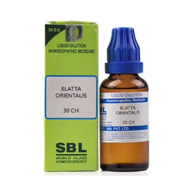 SBL Blatta Orientalis Dilution 30 CH (1 Bottle of 30 ml Dilution)
